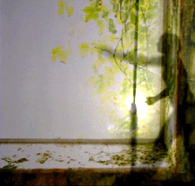 e463a54b-6d6d-47e2-8338-90d8619295b8.1280x1280