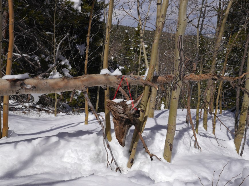 Hainging front scene